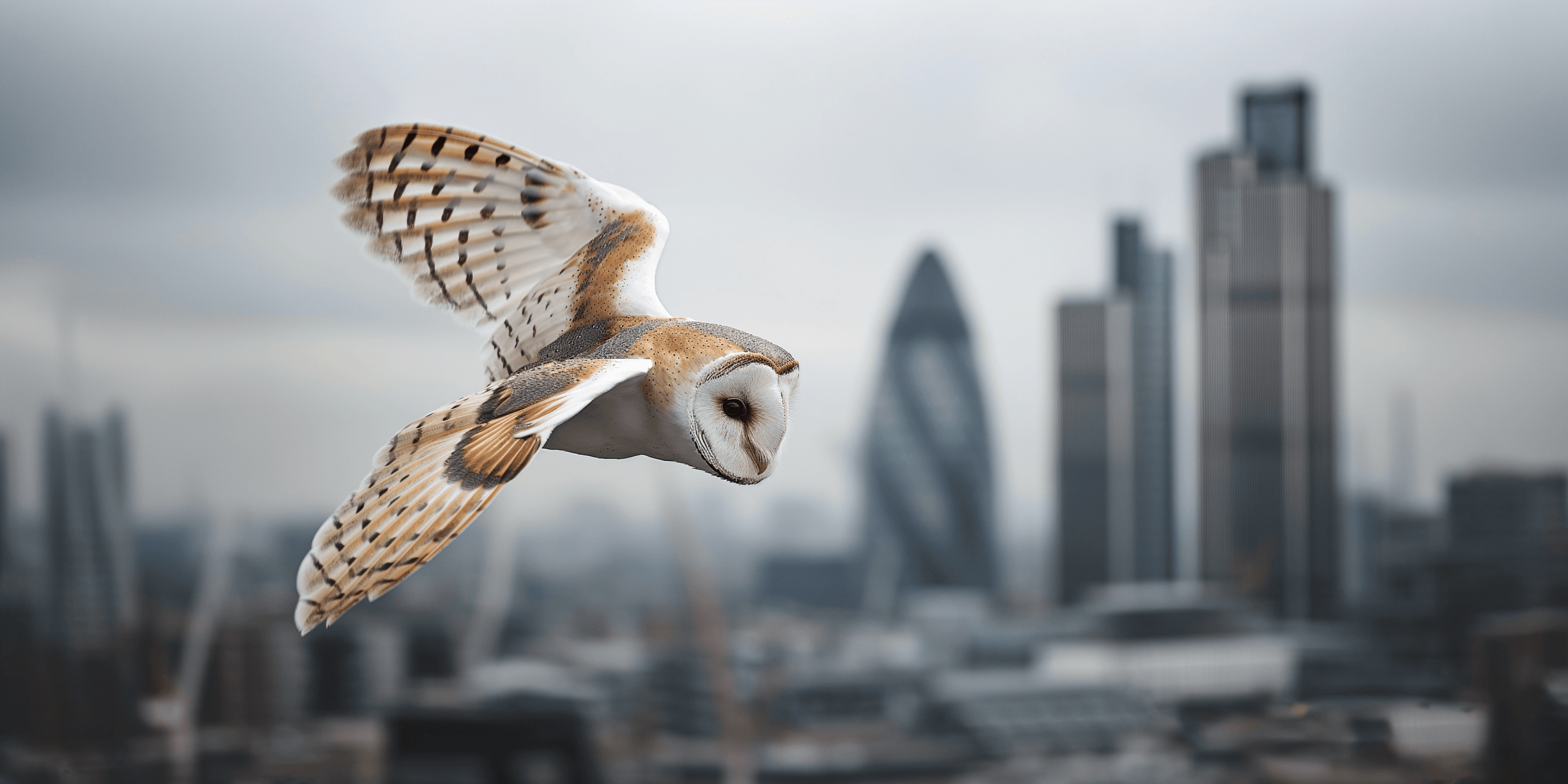 Lyford has secured launch and long-term equity capital from Moody Aldrich Partners.